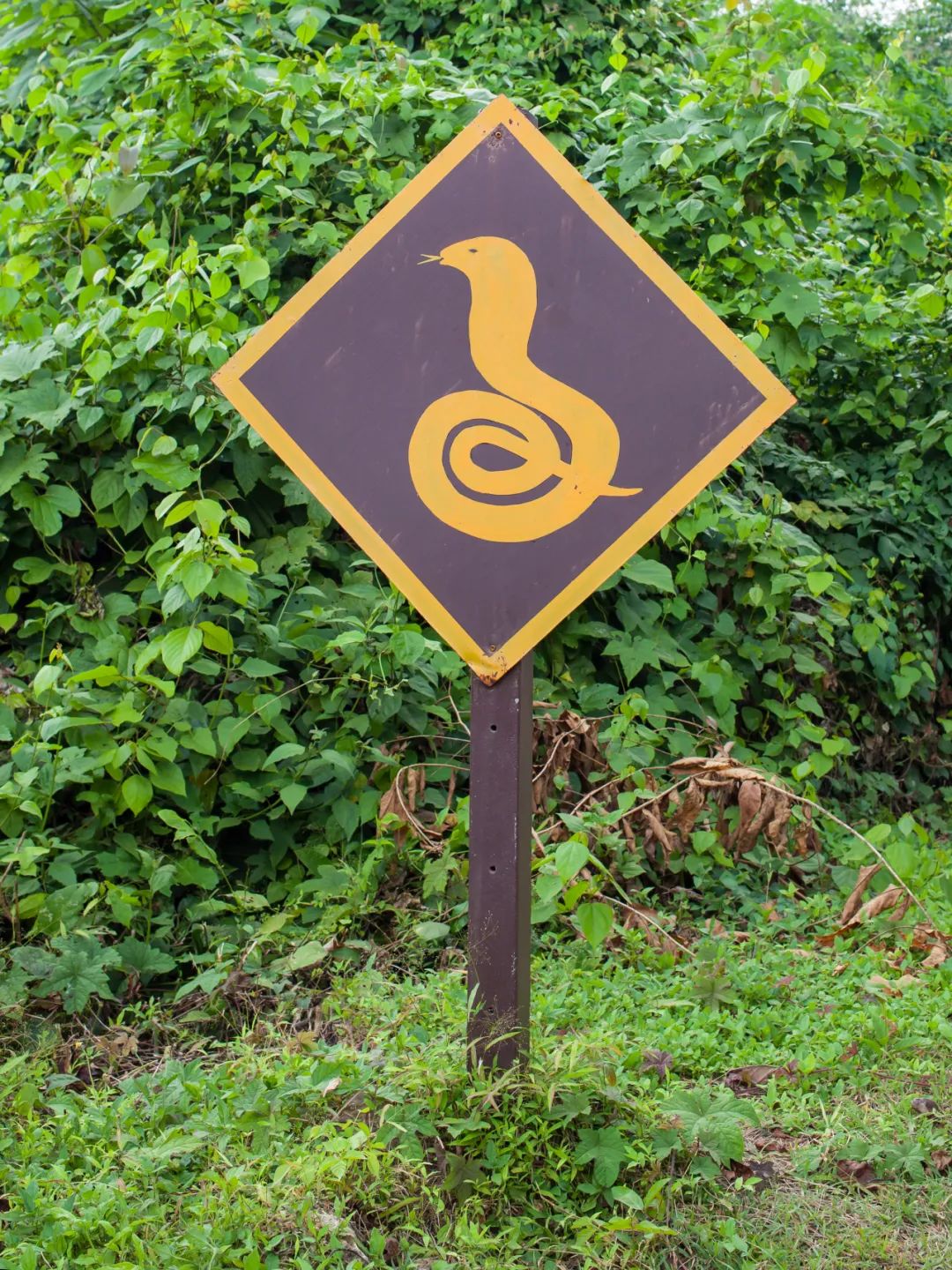 DƬ